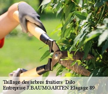 Taillage des arbres fruitiers   dilo-89320 Entreprise J.BAUMGARTEN Elagage 89