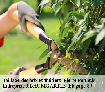 Taillage des arbres fruitiers   pierre-perthuis-89450 Entreprise J.BAUMGARTEN Elagage 89