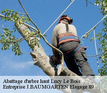 Abattage d'arbre haut  lucy-le-bois-89200 Entreprise J.BAUMGARTEN Elagage 89