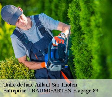 Taille de haie  aillant-sur-tholon-89110 Entreprise J.BAUMGARTEN Elagage 89