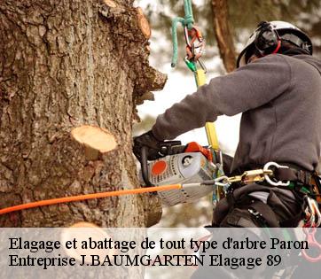 Elagage et abattage de tout type d'arbre  paron-89100 Entreprise J.BAUMGARTEN Elagage 89