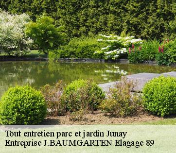 Tout entretien parc et jardin  junay-89700 Entreprise J.BAUMGARTEN Elagage 89